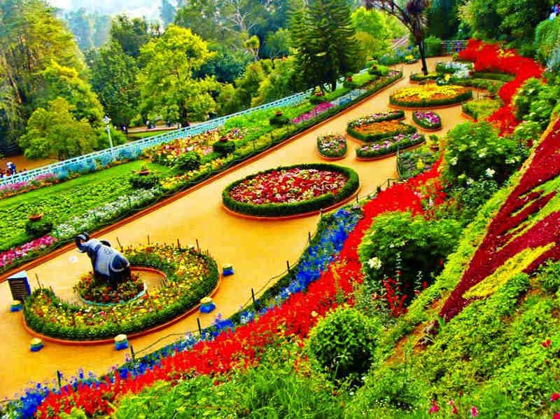 Ooty tour packages